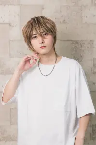 クリアストーン 4560320880028 WIGGY RICHメンズ ミディアムウルフ(ミックスゴールド) 関連情報 カタログ 232ページ