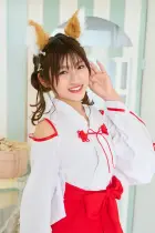 カタログ・関連情報