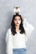 カタログ・関連情報