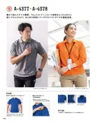 カタログ・関連情報
