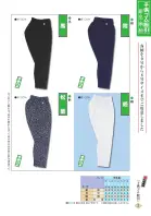 カタログ・関連情報