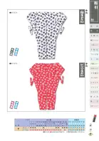 カタログ・関連情報