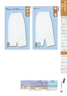 カタログ・関連情報