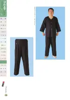 カタログ・関連情報