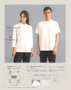 カタログ・関連情報