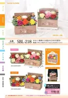 カタログ・関連情報