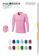 カタログ・関連情報