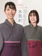 カタログ・関連情報