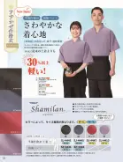 カタログ・関連情報