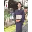 カタログ・関連情報 65
