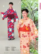 カタログ・関連情報