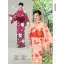 カタログ・関連情報 8