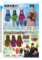 カタログ・関連情報