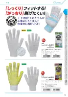 カタログ・関連情報