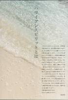 カタログ・関連情報