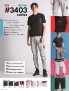 カタログ・関連情報