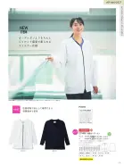 カタログ・関連情報