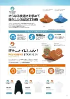カタログ・関連情報