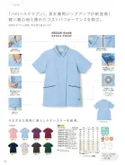 カタログ・関連情報