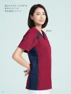 カタログ・関連情報