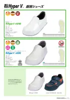 カタログ・関連情報