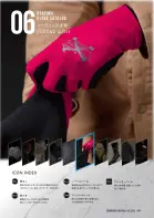 カタログ・関連情報