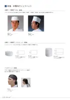 カタログ・関連情報