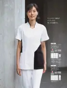 カタログ・関連情報