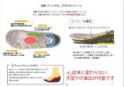 カタログ・関連情報