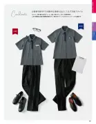 カタログ・関連情報