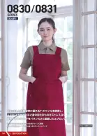 カタログ・関連情報