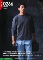 カタログ・関連情報