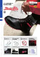 カタログ・関連情報