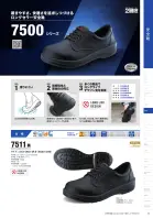 カタログ・関連情報
