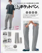カタログ・関連情報