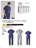 カタログ・関連情報