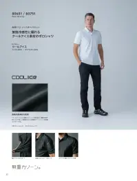 TS DESIGN 80751 クールアイス長袖ポロシャツ 関連情報 カタログ 32ページ