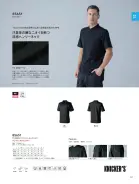 カタログ・関連情報