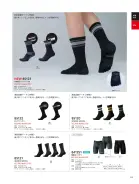 カタログ・関連情報