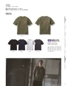 カタログ・関連情報