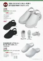 カタログ・関連情報