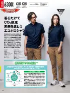 カタログ・関連情報