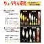 カタログ・関連情報 4