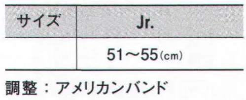 アイトス 66317 アメリカンメッシュジュニアキャップ イベントアイテムと言えば、これ！メッシュ素材やスベリなど良質な素材を選んでいます。※旧品番は「3150」（旧クボタエイトサービス製品）です。 サイズ／スペック