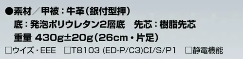 アイトス AZ-59600 安全靴（男女兼用）（GT-100） サイズ／スペック