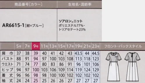 アルファピア AR6615-1-B ワンピース　19号(特注)～23号(特注) スカートの裏地の後ろ部分には透湿防水布を使用。上身頃は一重仕立てにし、ニットの快適性を高めました。長めの持ち手ファスナーで着脱もラク。●夏こそニットを選びたい理由！・天然パルプから生まれたトリアセテートだから、ナチュラルな質感で肌に優しい。・接触冷感で速乾性にも優れているから、サラサラ涼しく、気持ちいい！・親近感のあるガルゼ調だから、ニットに抵抗感のある人にもオススメ！※19・21・23号は受注生産になります。※受注生産品につきましては、ご注文後のキャンセル、返品及び他の商品との交換、色・サイズ交換が出来ませんのでご注意くださいませ。※受注生産品のお支払い方法は、前払いにて承り、ご入金確認後の手配となります。 サイズ／スペック