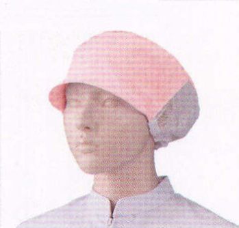 食品工場用 キャップ・帽子 KAZEN 482-43 天井メッシュ帽子（2枚入） 食品白衣jp
