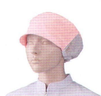 食品工場用 キャップ・帽子 KAZEN 482-73 女子帽子（後メッシュ付）（2枚入） 食品白衣jp