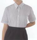 KAZEN AP1252 長袖女子シャツ ※画像は半袖ですが、この商品は長袖になります。
