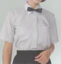 KAZEN AP1276 半袖女子クレリックシャツ 
